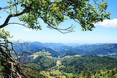 Herrliche Wandermöglichkeiten auf dem Belchen